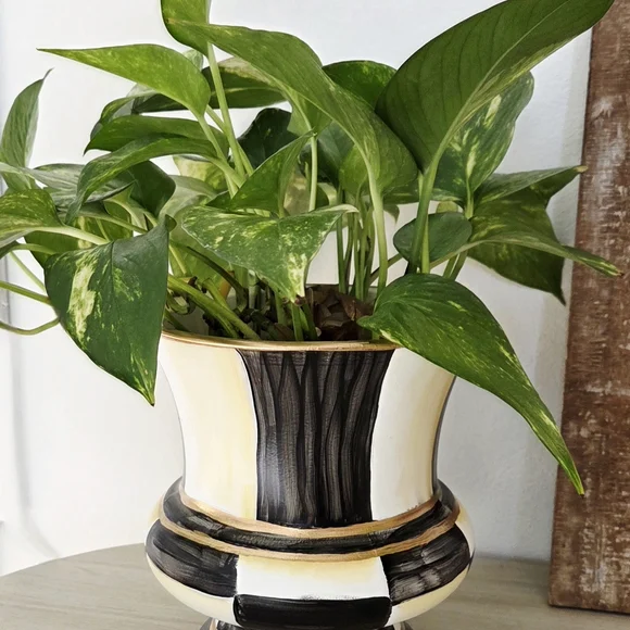 Elegant Black and Cream Planter - Picture 2 of 4